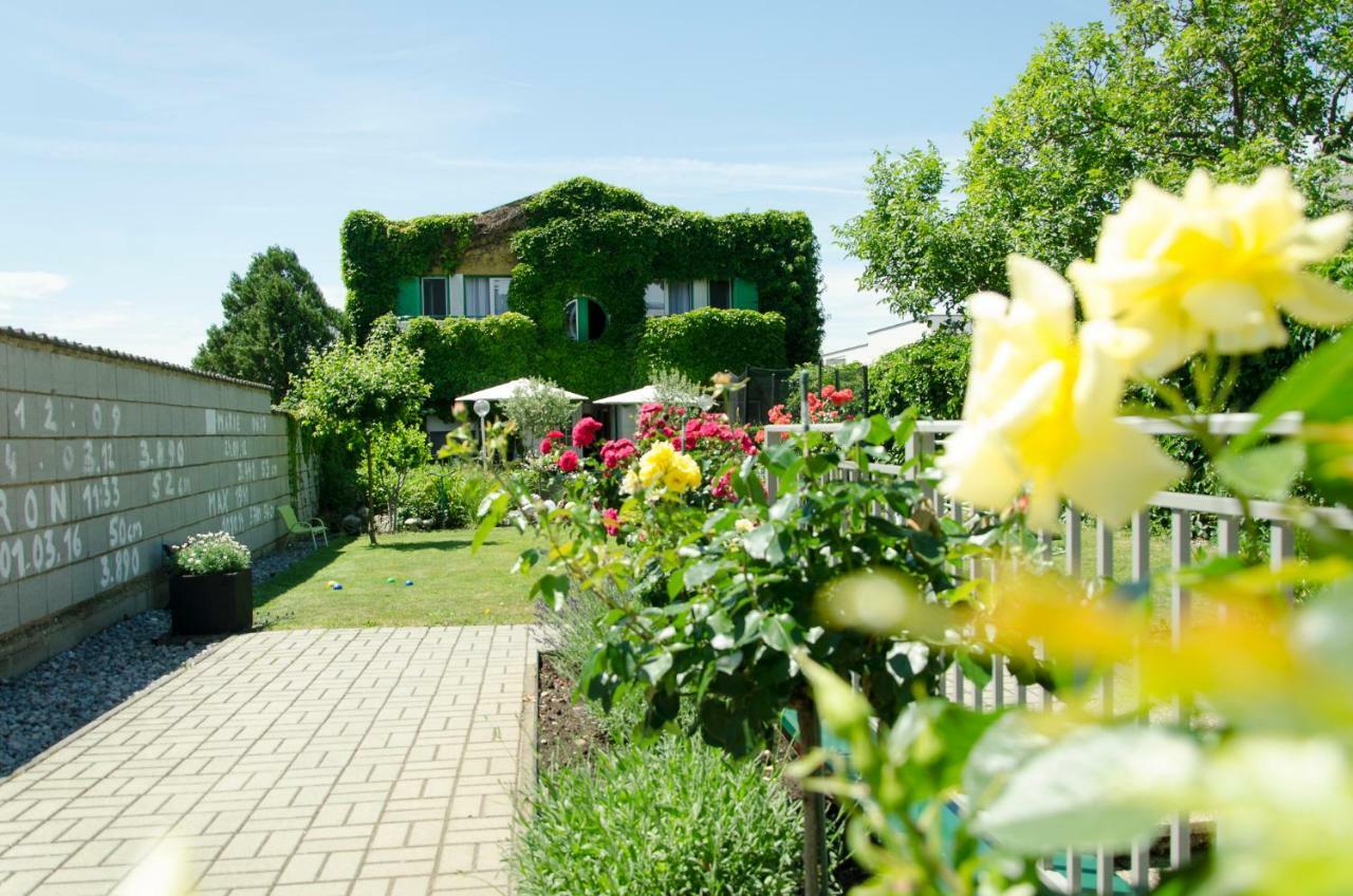 Hotel Gästehaus Schmidt Podersdorf am See Exterior foto