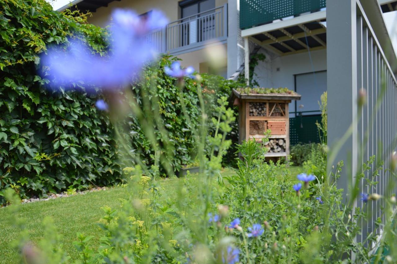 Hotel Gästehaus Schmidt Podersdorf am See Exterior foto